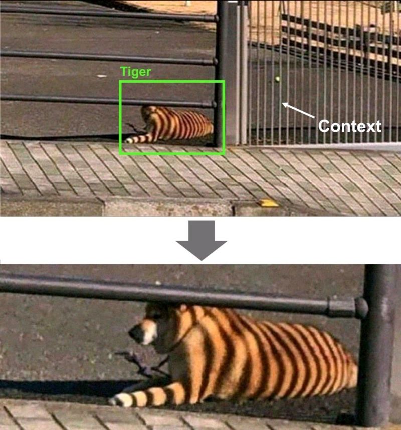 Cane scambiato per una tigre, perché ha l'ombra di un cancello addosso.